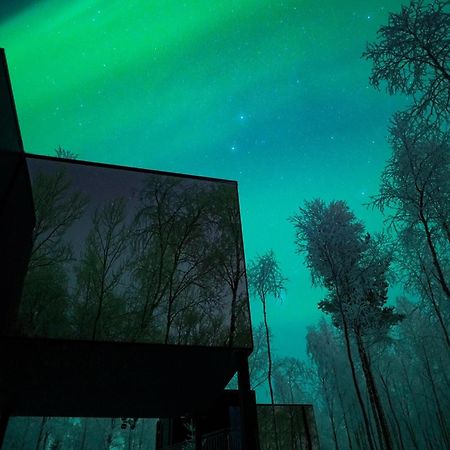 Silver Birch Resort Lapland روفانييمي المظهر الخارجي الصورة