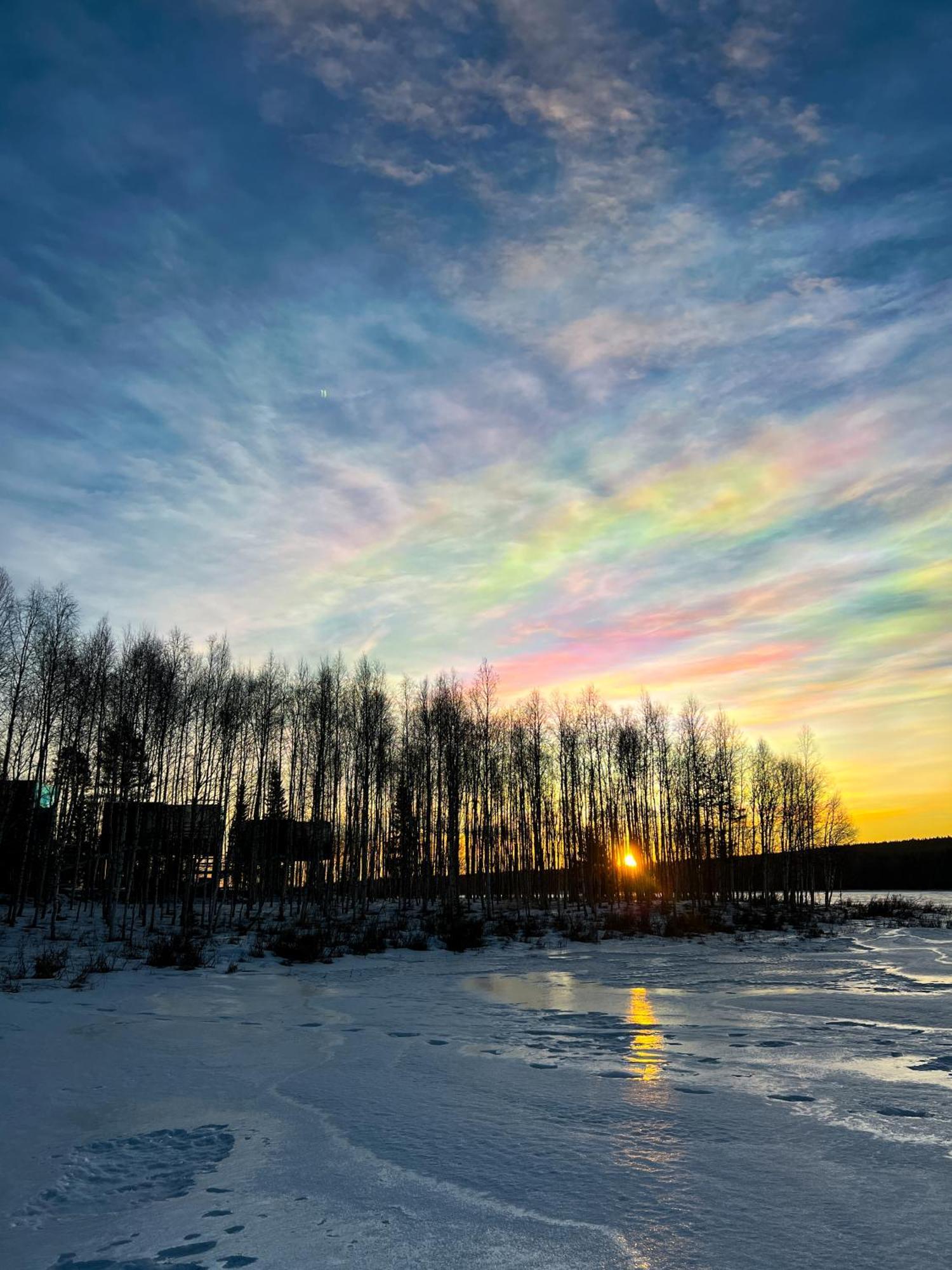 Silver Birch Resort Lapland روفانييمي المظهر الخارجي الصورة