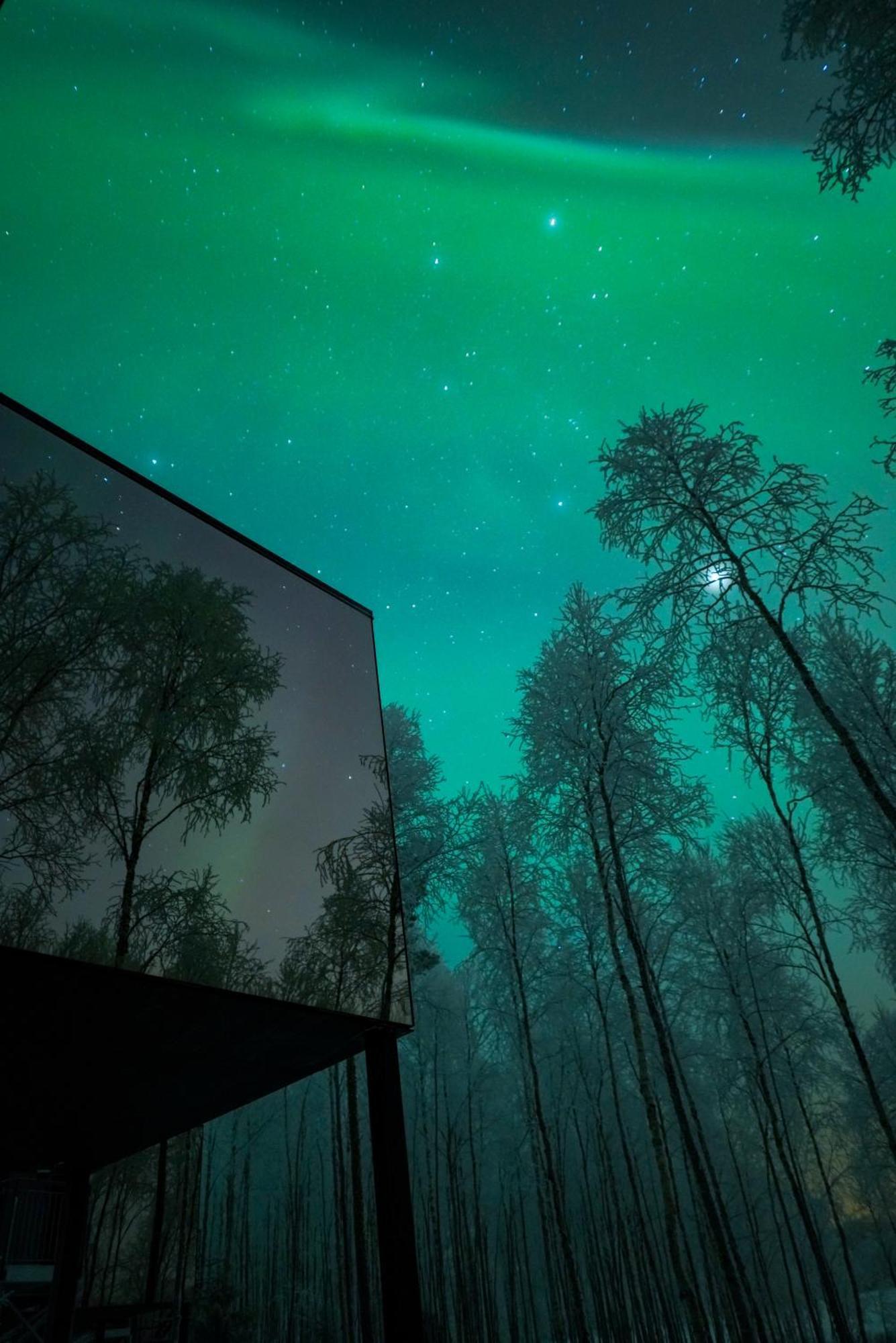 Silver Birch Resort Lapland روفانييمي المظهر الخارجي الصورة