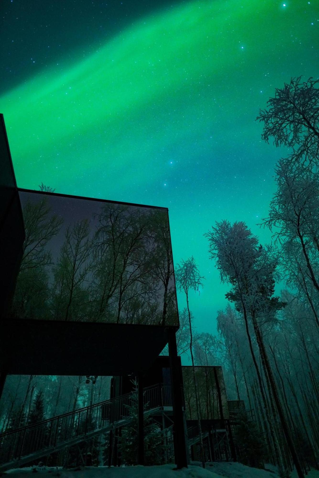Silver Birch Resort Lapland روفانييمي المظهر الخارجي الصورة