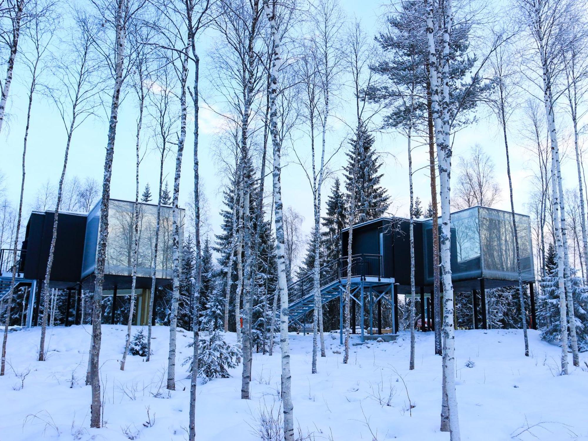 Silver Birch Resort Lapland روفانييمي المظهر الخارجي الصورة